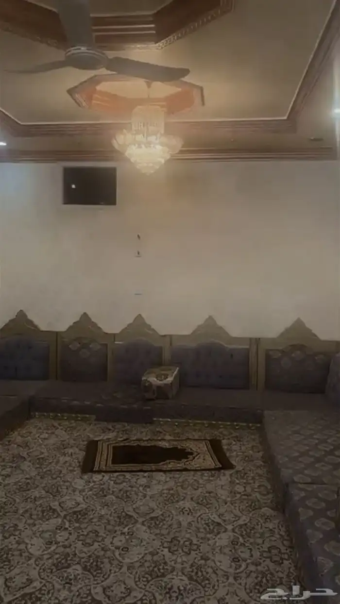 كنب ارضي 0