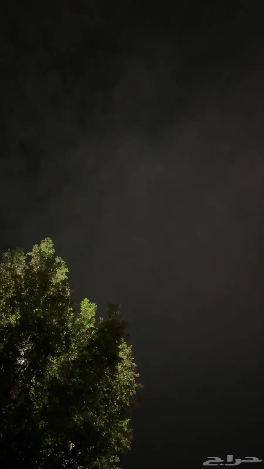حساب ببجي 0