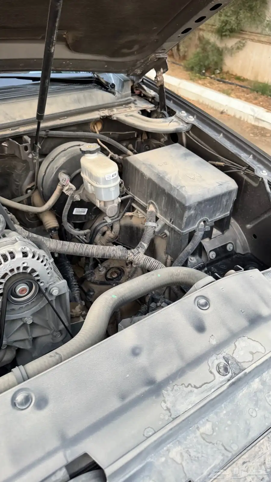 تم البيع 53