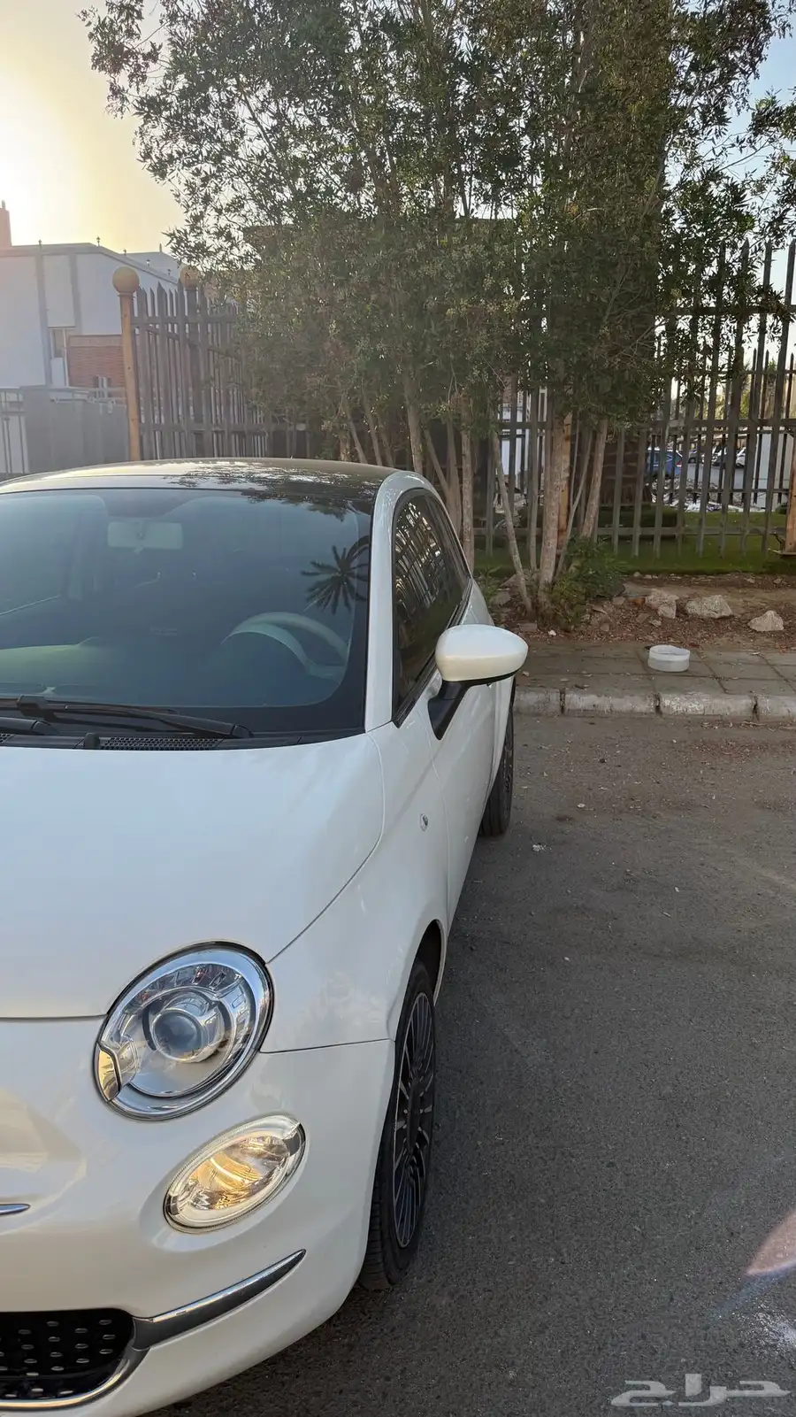 فيات 500 7