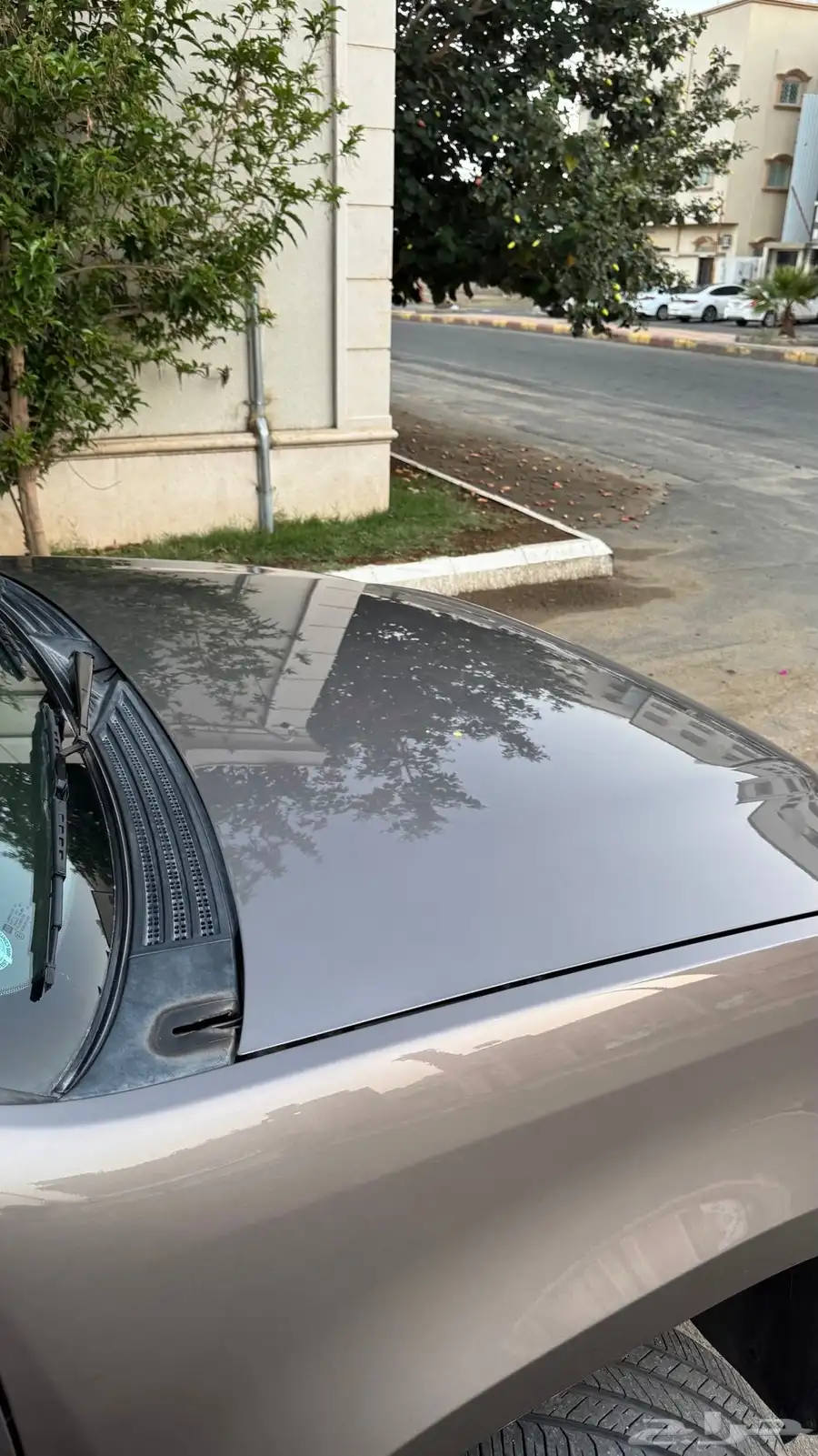 تم البيع 51
