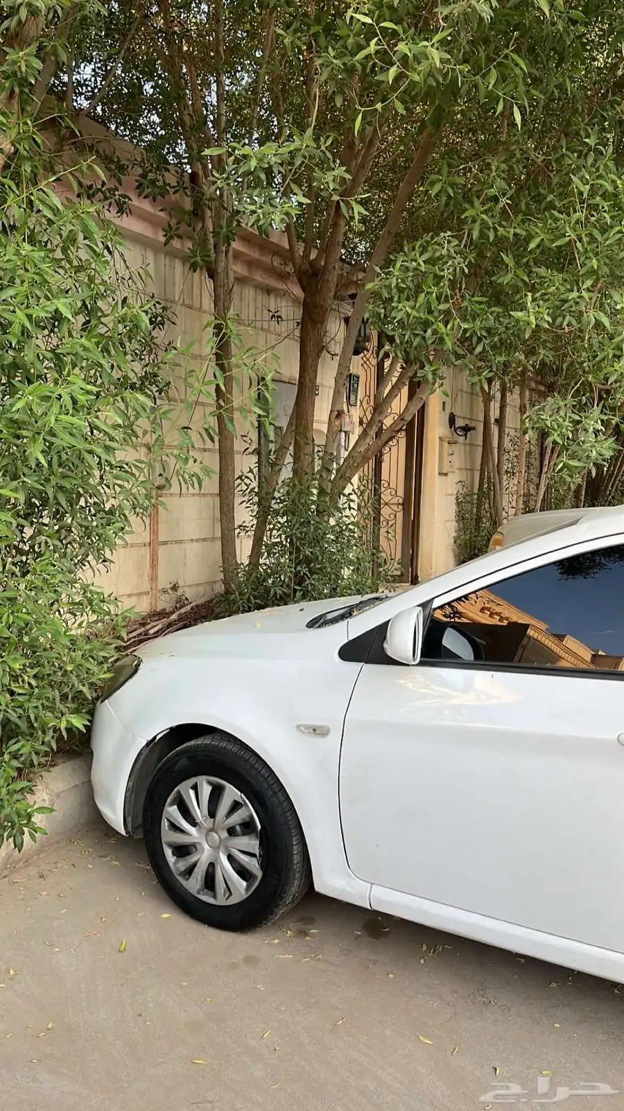 امجي 15