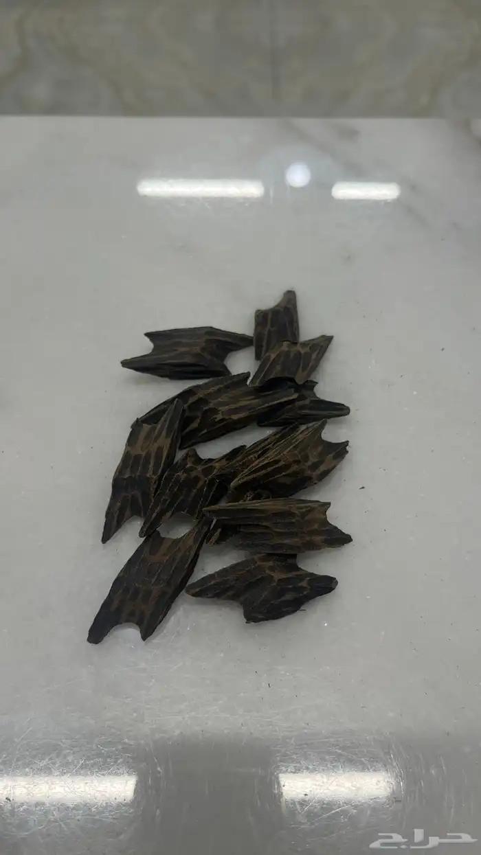 بخور تايقر 3