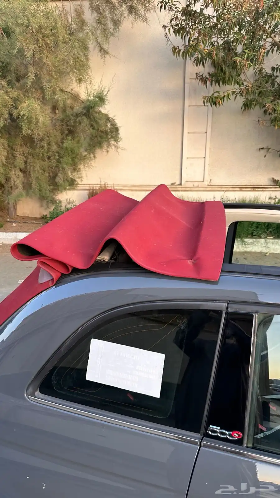 تم البيع 31
