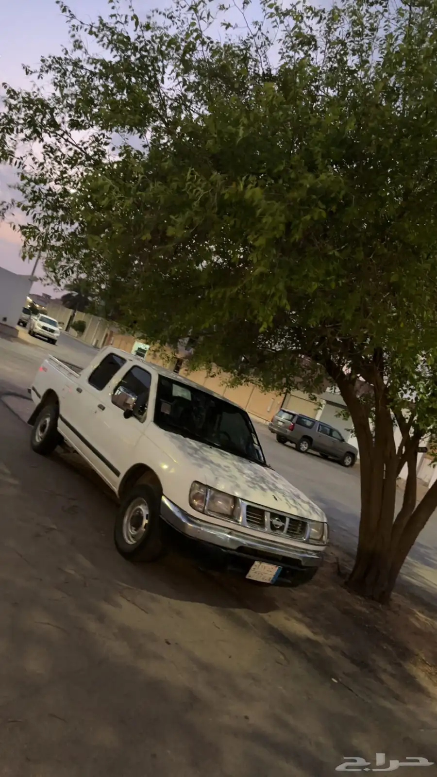 جنوط ددسن البلد 1998 0