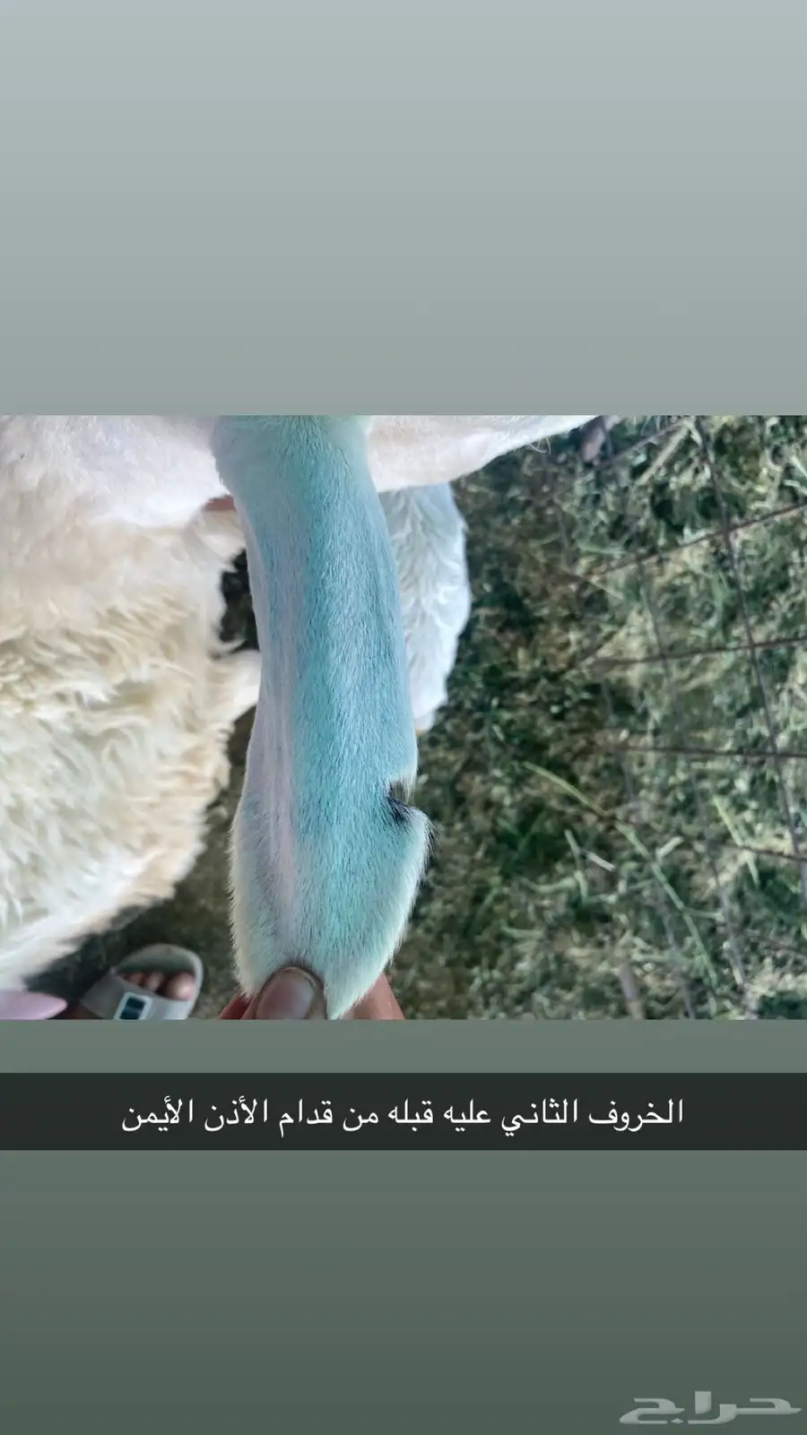 سلام عليكم ورحمة الله وبركاته 1
