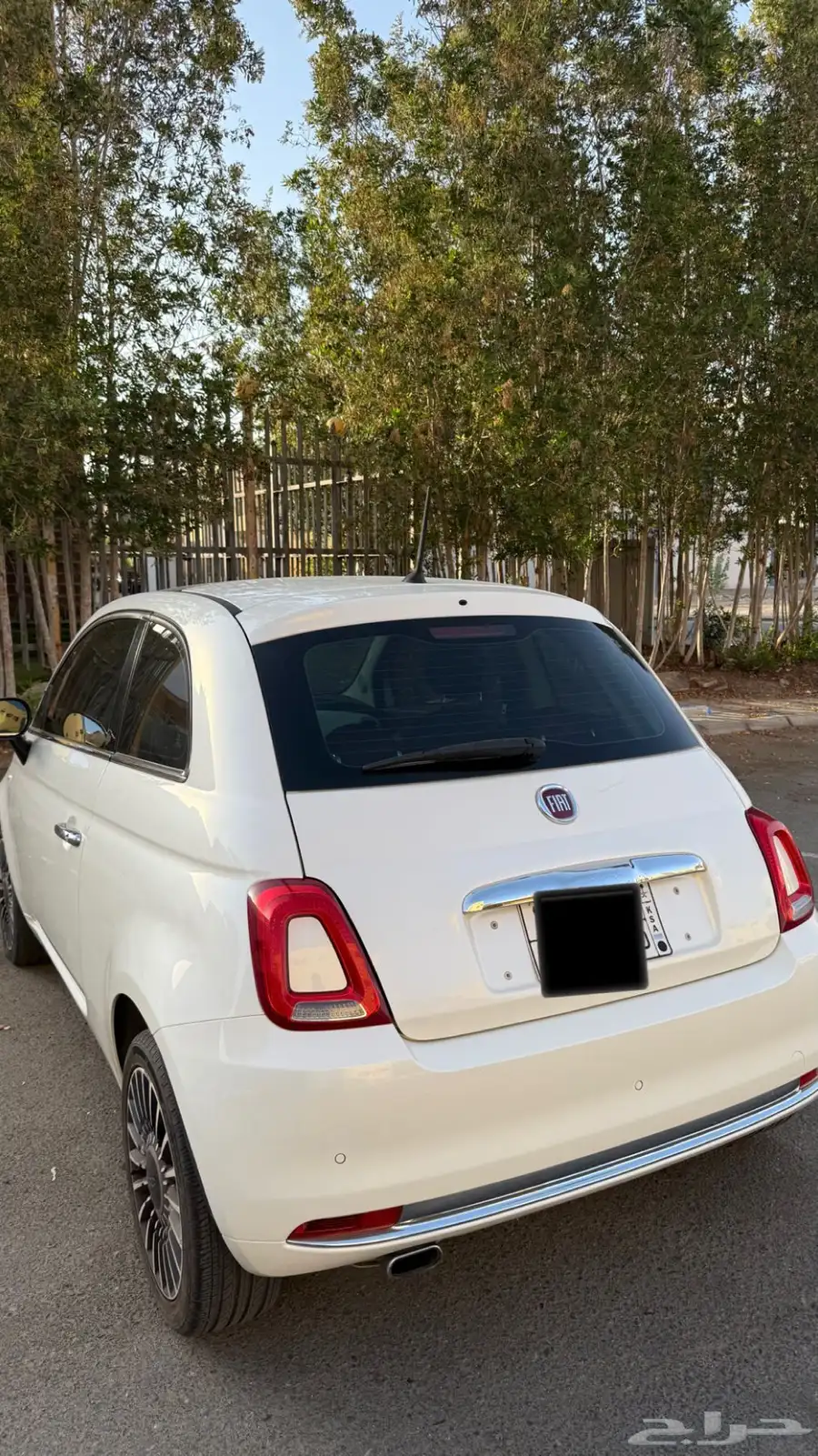 فيات 500 1