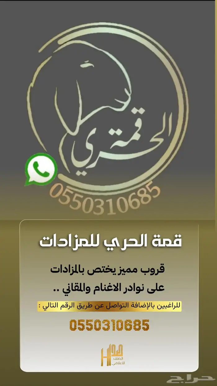 مزاد منطقة القصيم للحري 0