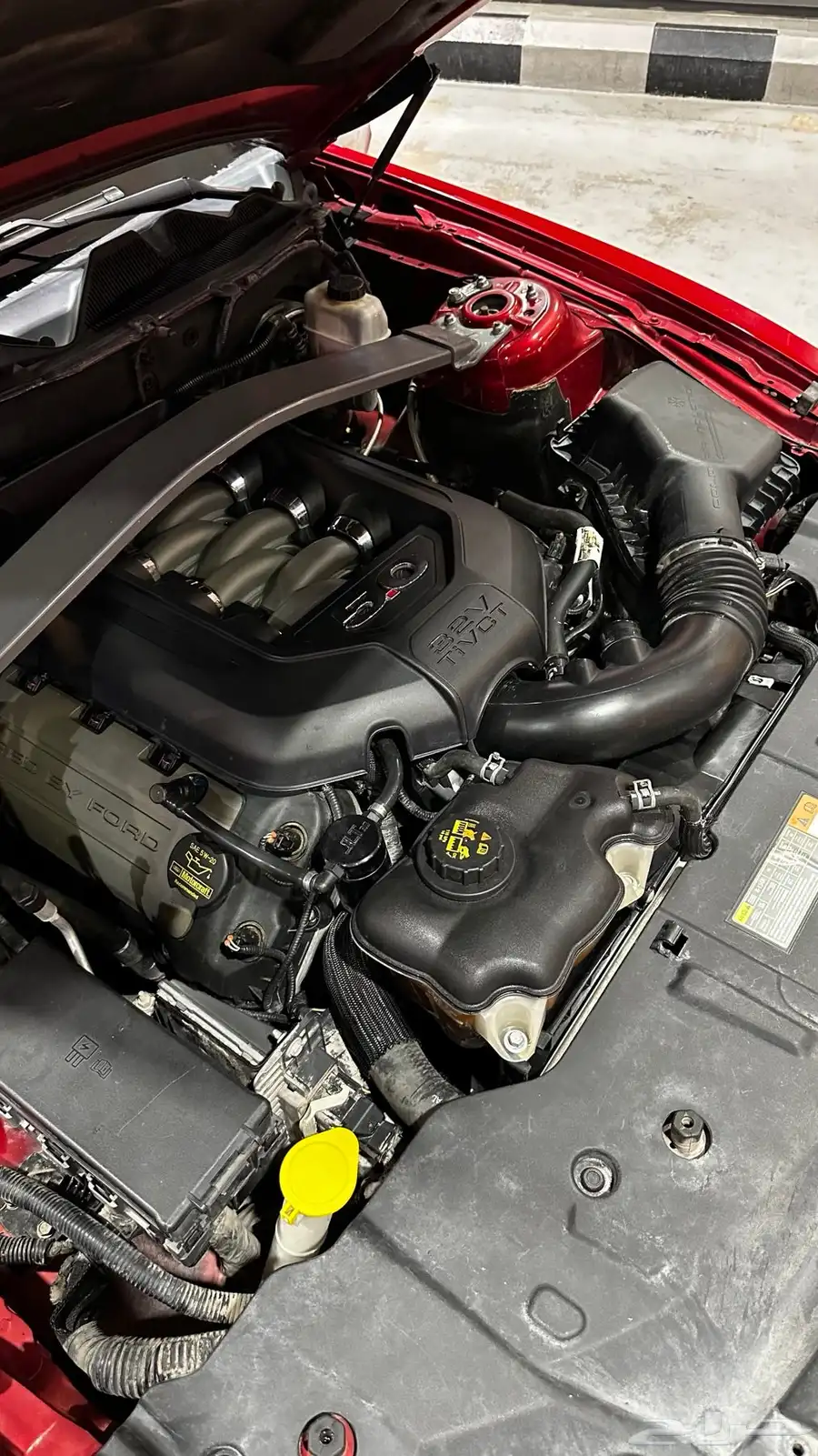 للبيع موستنج GT V8 track back 2013 23