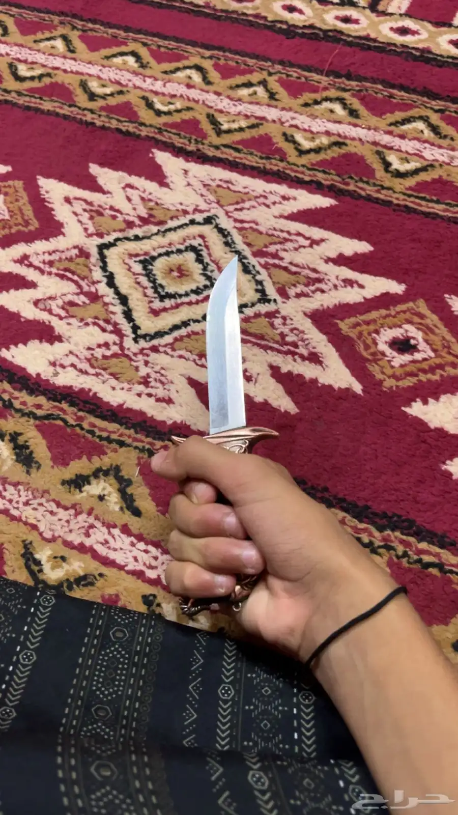 سكين لحم الحد 80 2