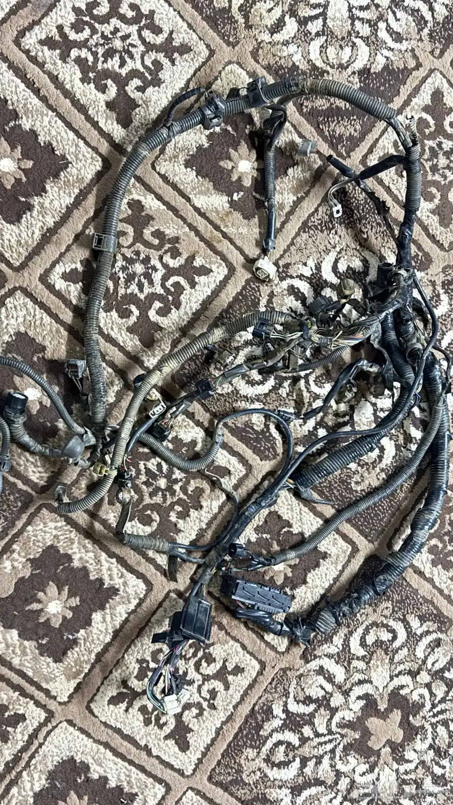 ظفيرة كامري 2010 0