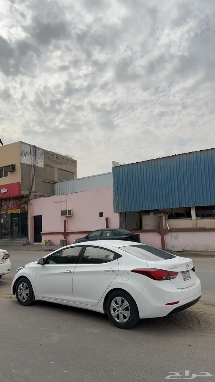 النترا 2013 2