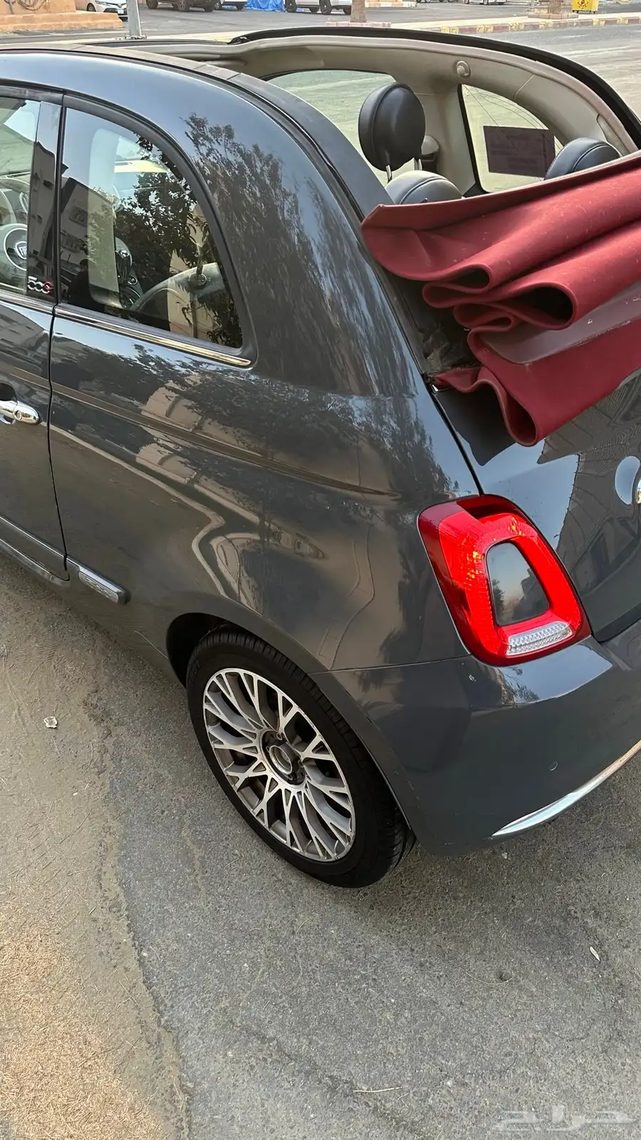 تم البيع 19