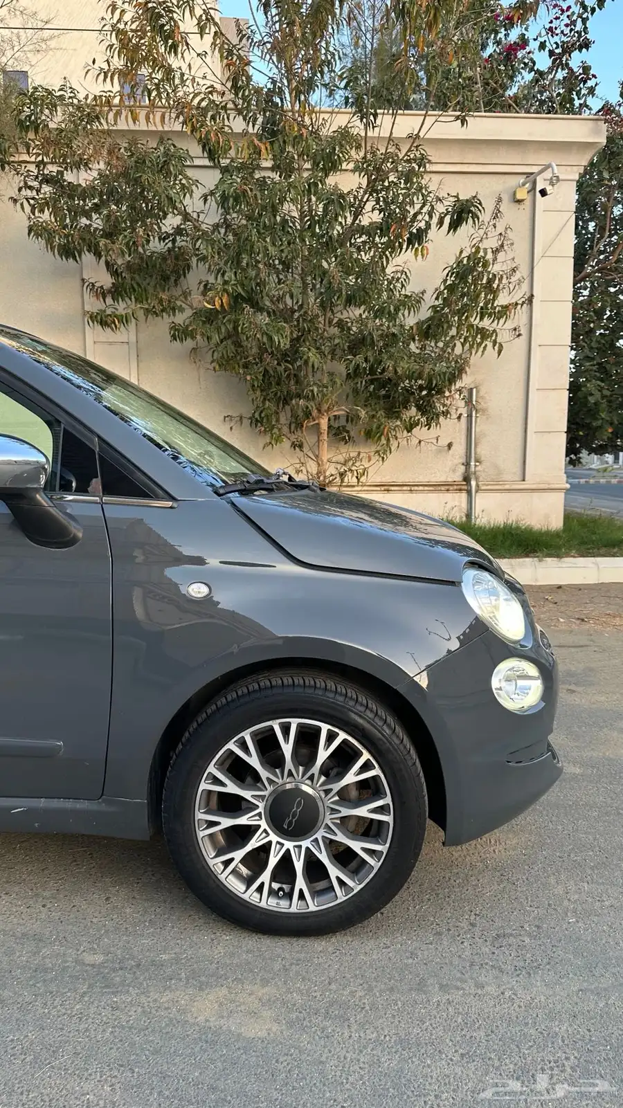 تم البيع 14