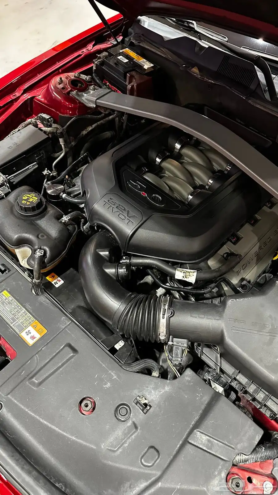 للبيع موستنج GT V8 track back 2013 22