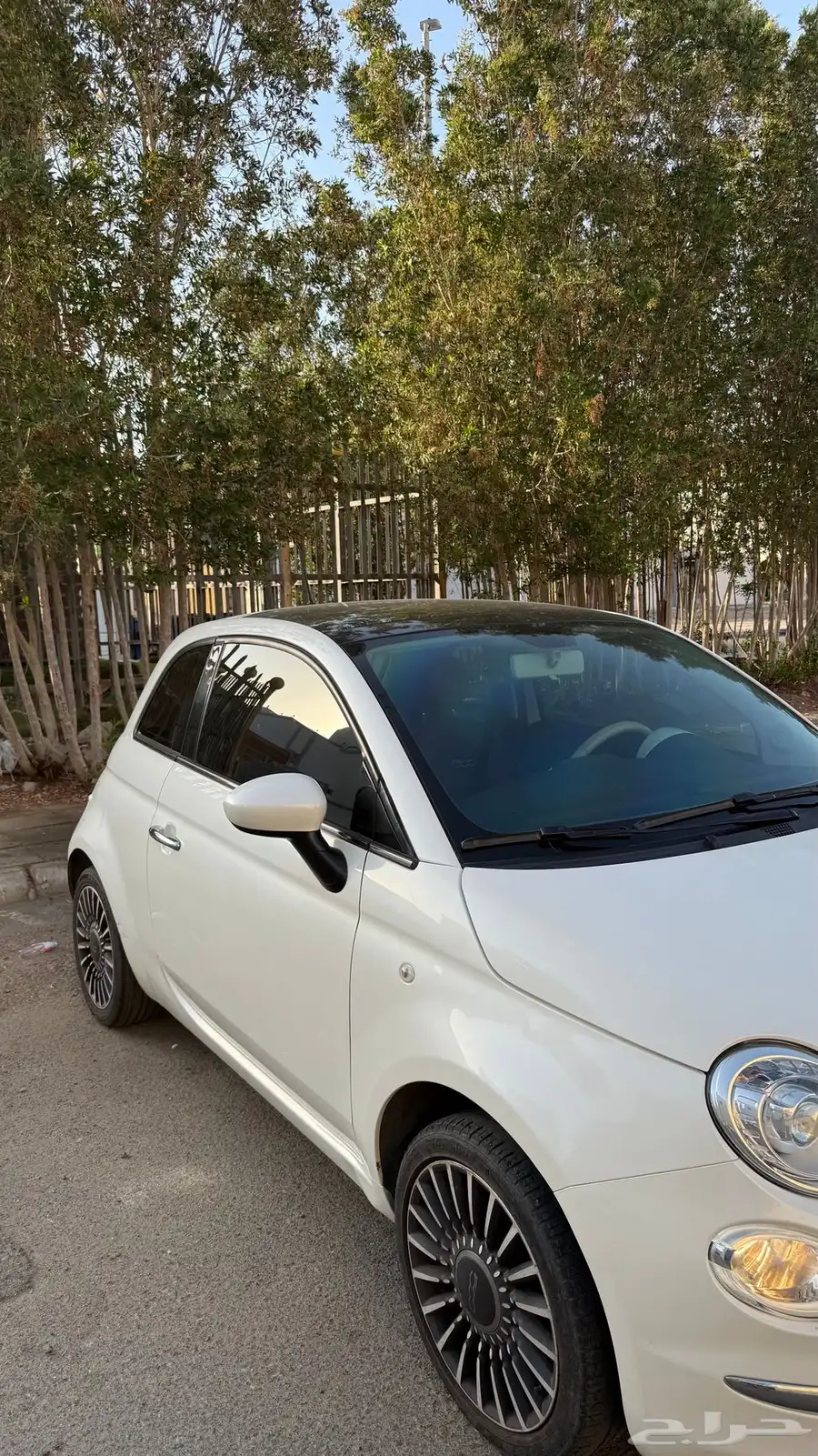 فيات 500 6
