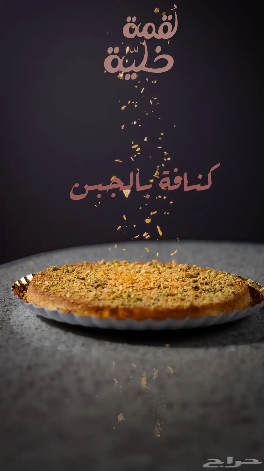 مصور محترف 3