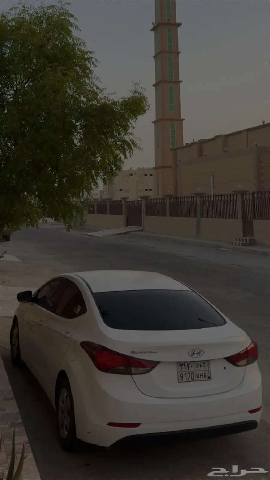 النترا 2013 4