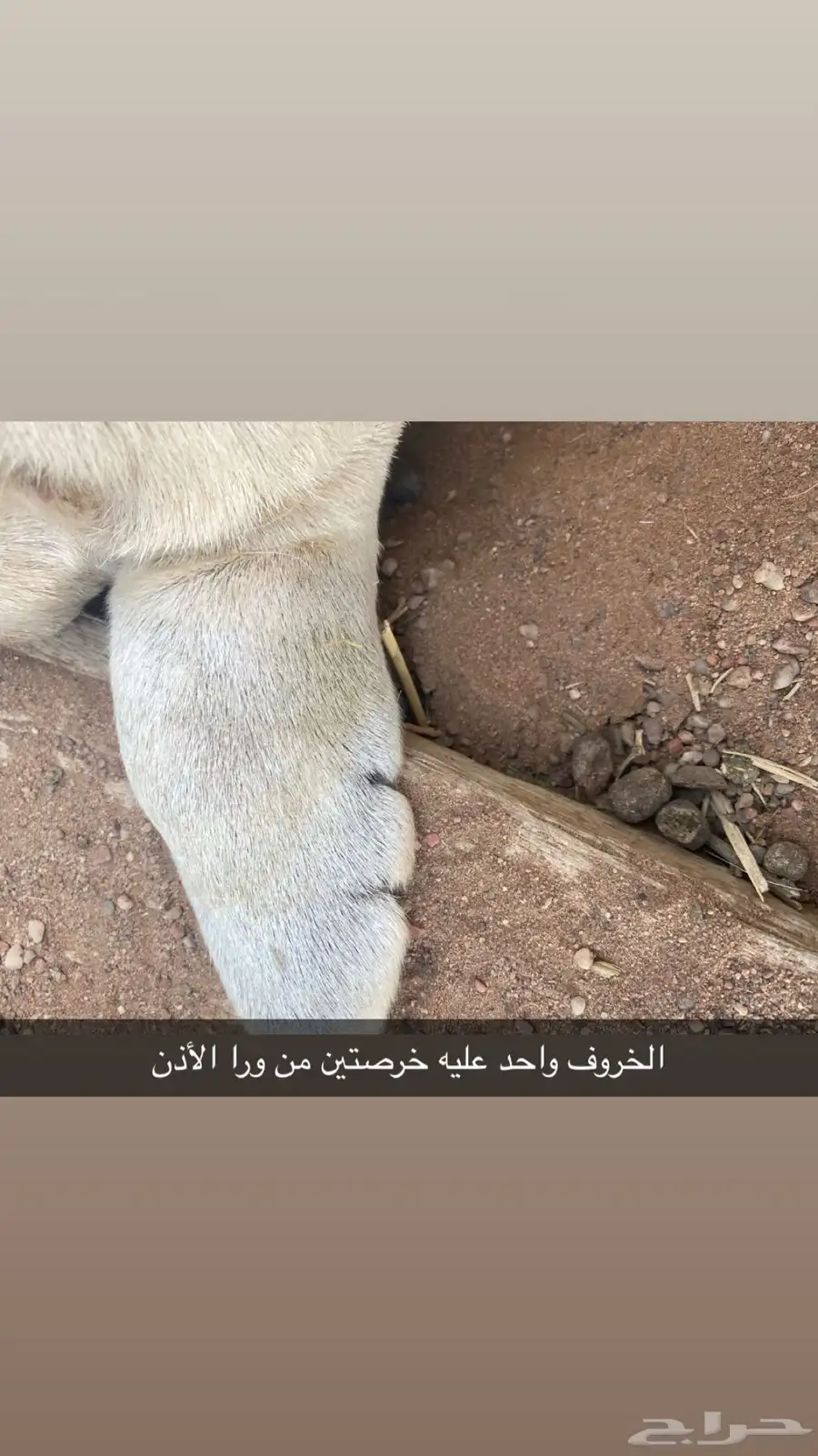 سلام عليكم ورحمة الله وبركاته 0