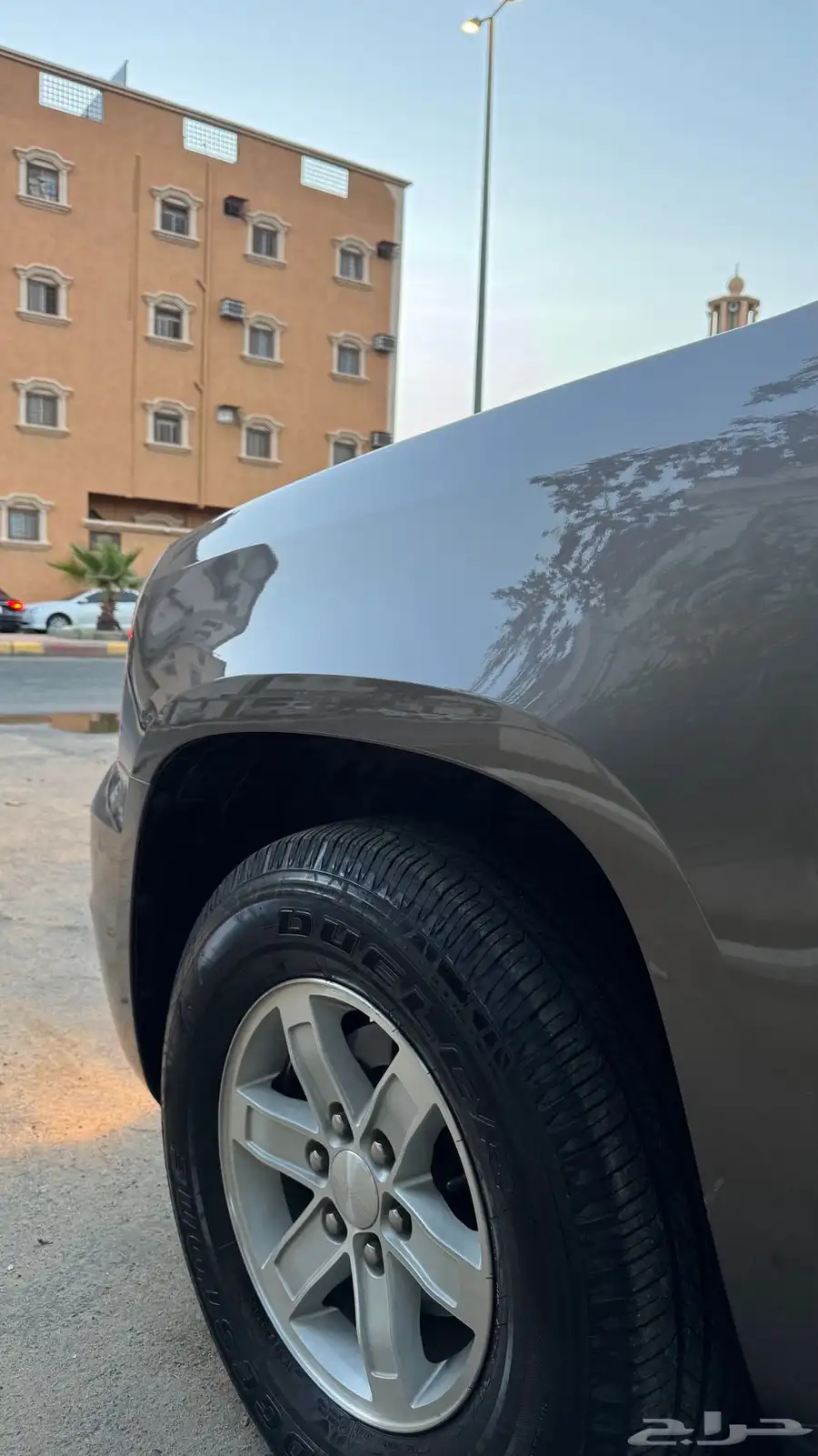 تم البيع 13