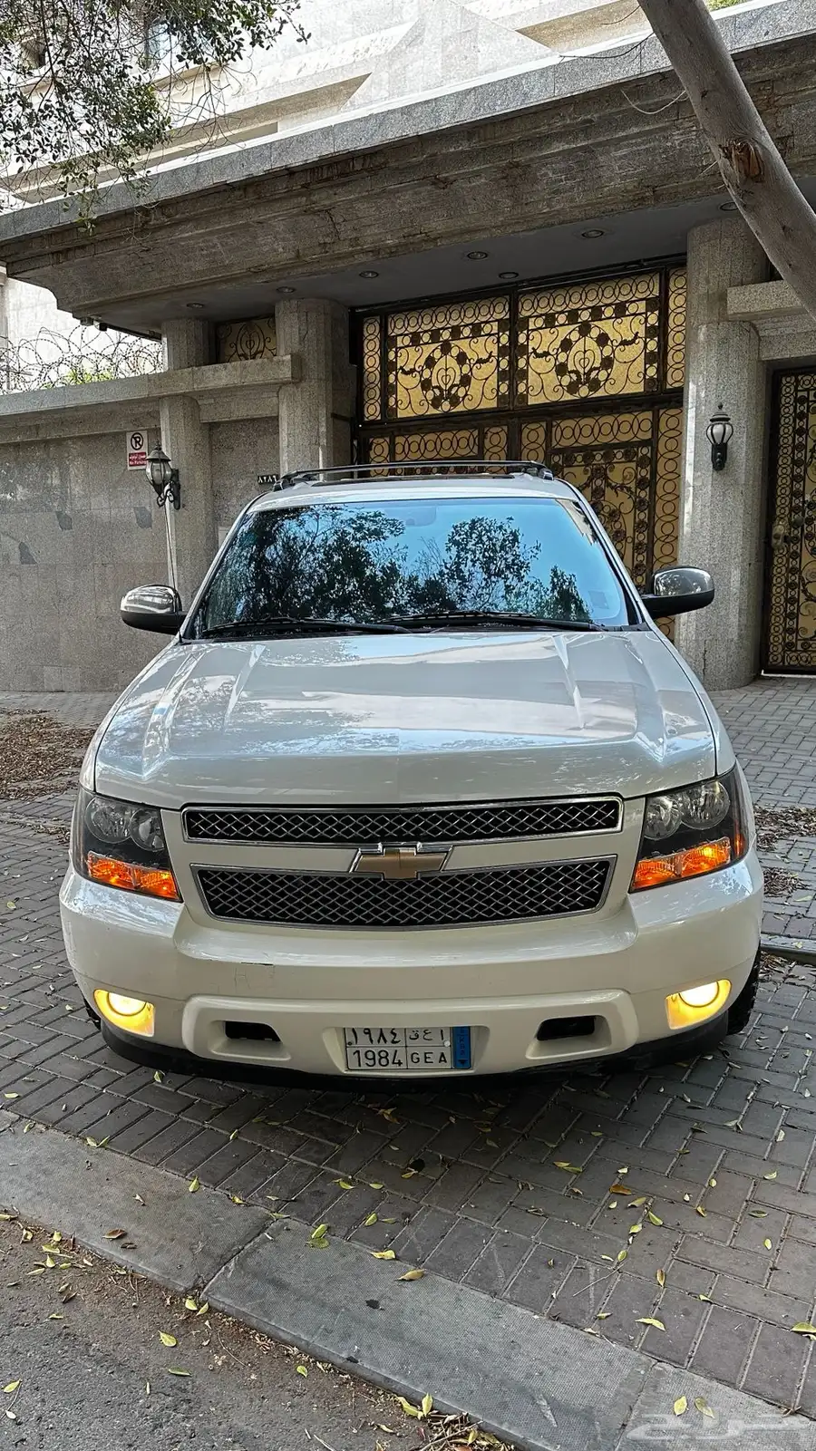افلانش LTZ 2010 جميح 1