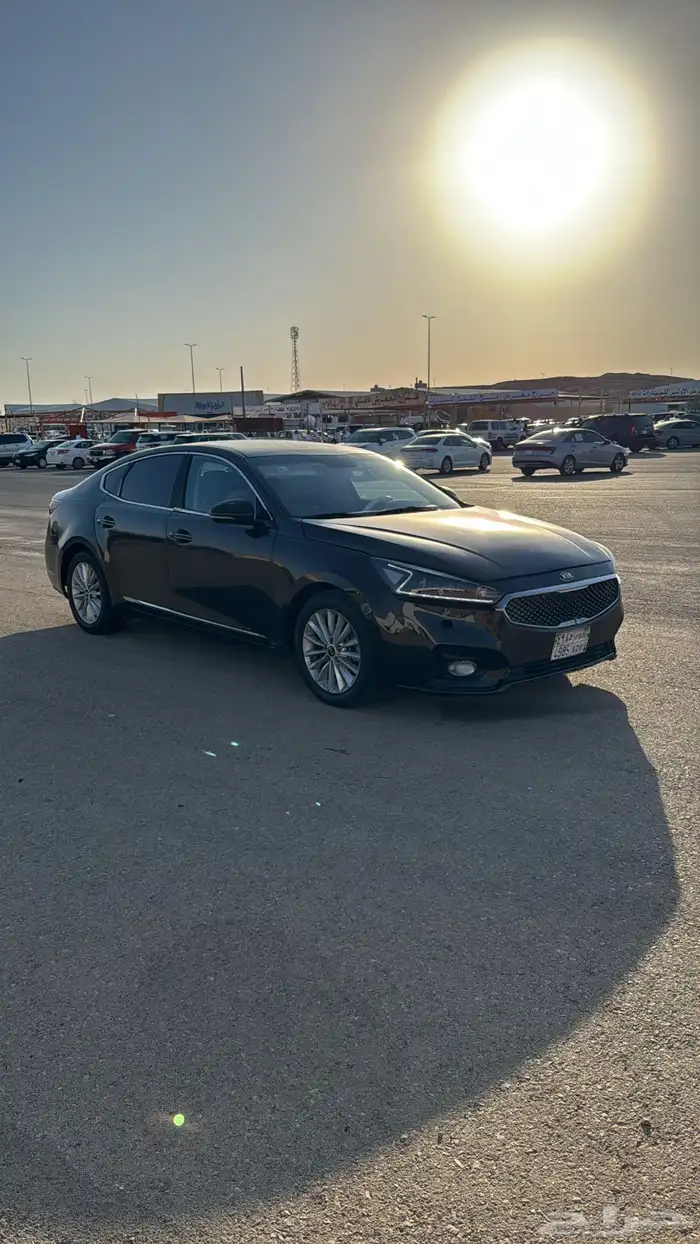 كادينزا 1
