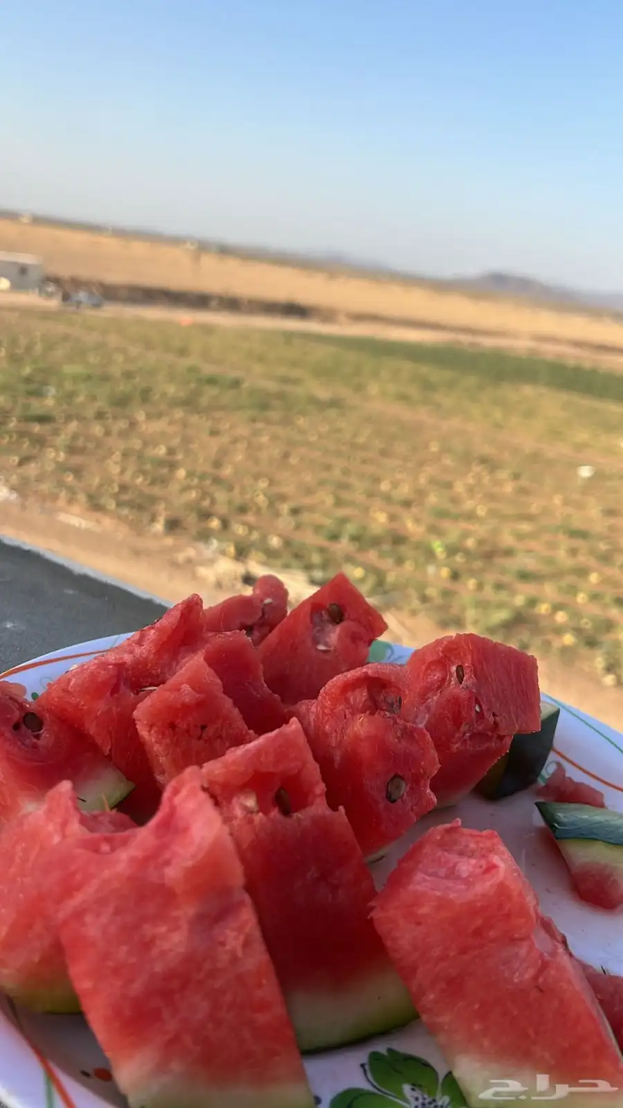 مزرعة كبيره فيها بيت مساحه 200الف صك اكتروني 38