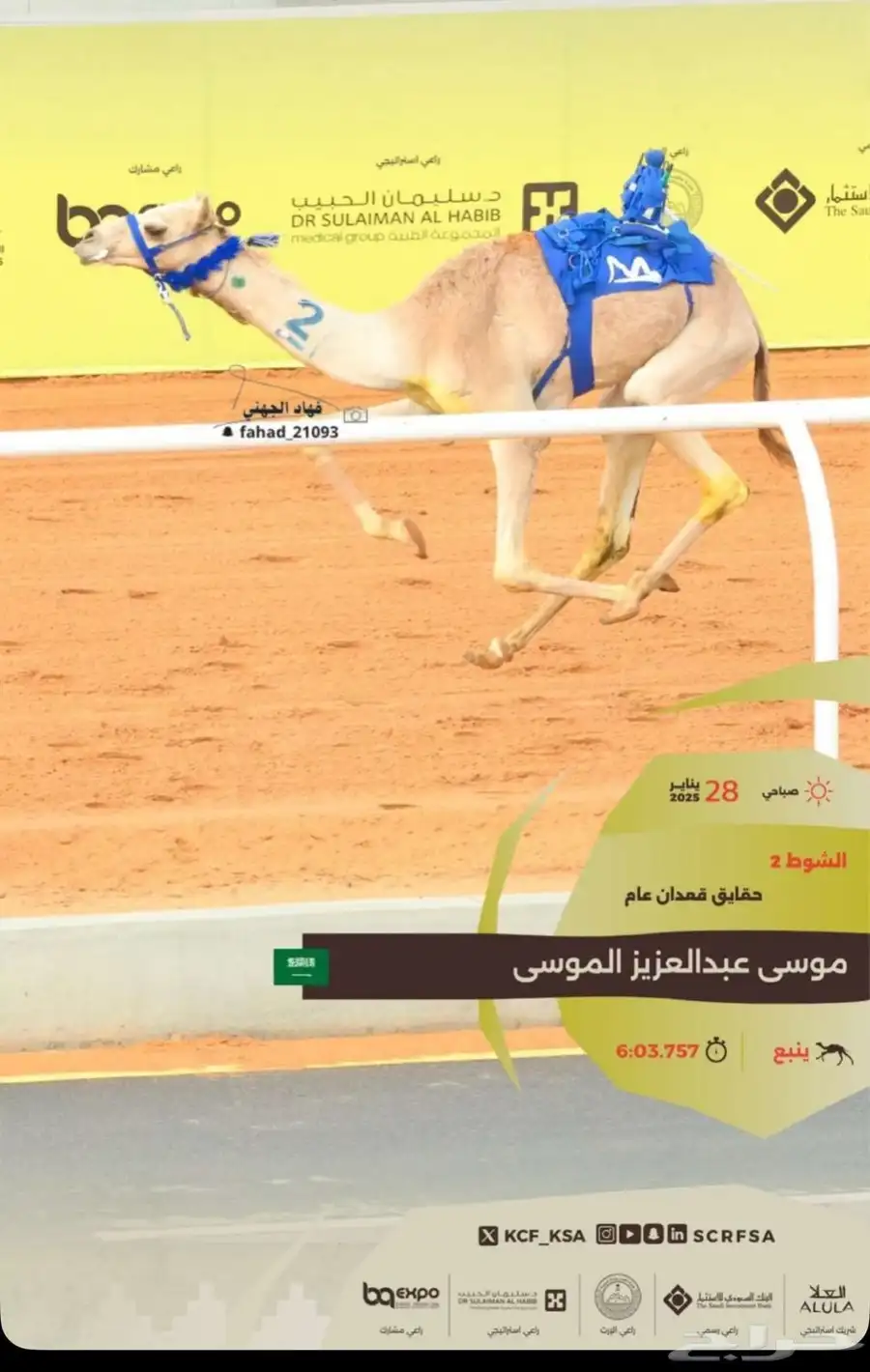 ناقه سودانيه تحتها بكره بنت عز الجيش جمل ياسر عميره الجهني 4
