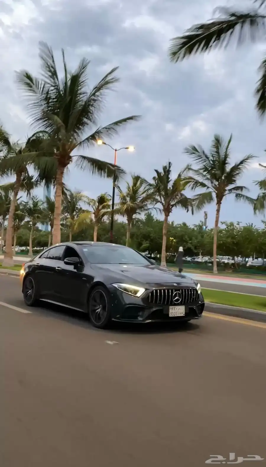 cls53 2019 2