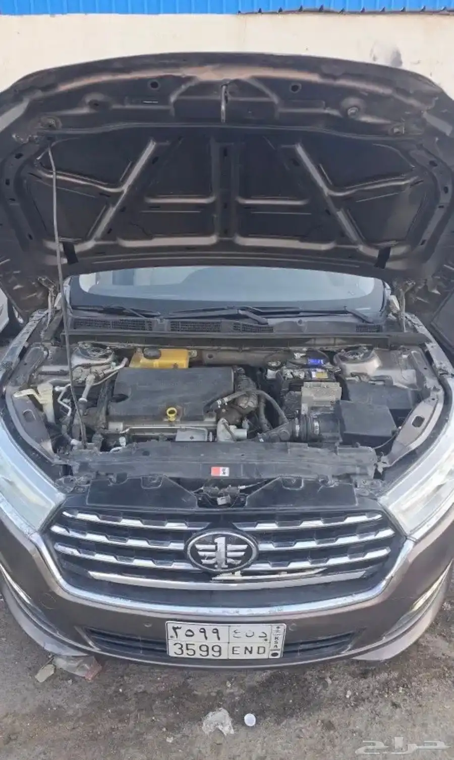 فاوبي50 3
