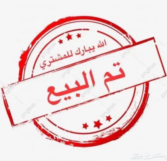 كوكاتو سترون أبو عرف برتقالي ( المنقاوي ) النادر (تم البيع) 6