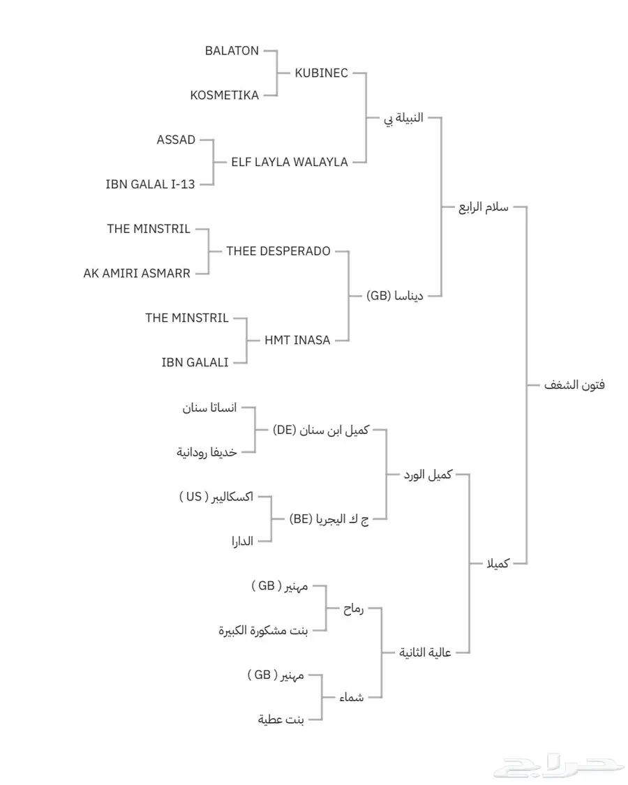 فرس واهو 0