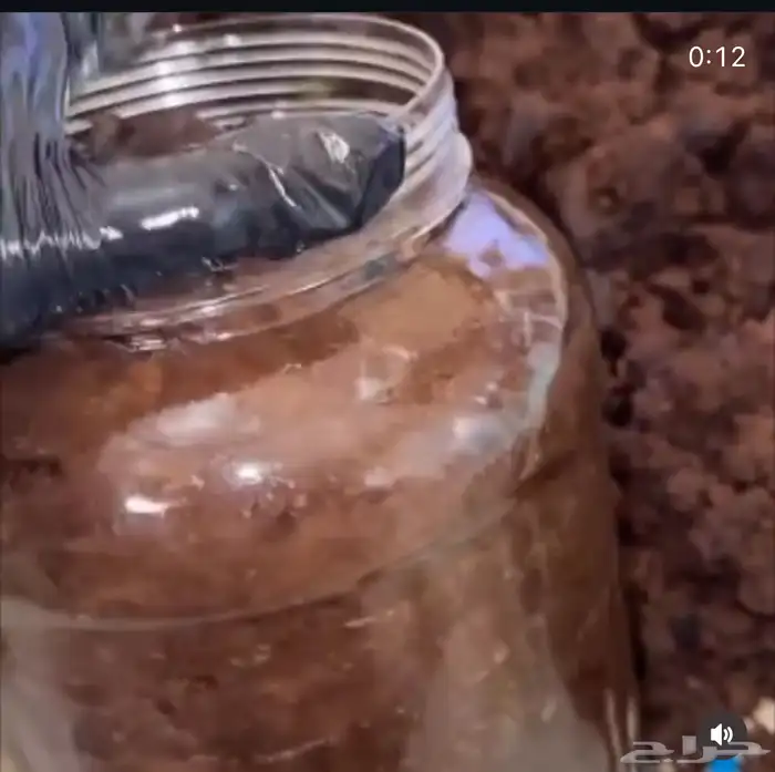 نقاشه الرياض أسماء 31