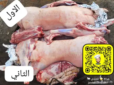 ذبائح حرية مع الطبخ والتوصيل لباب بيتك 6