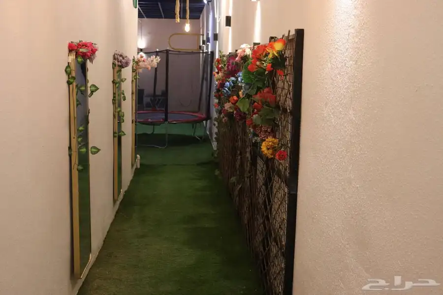 ترفيه 3