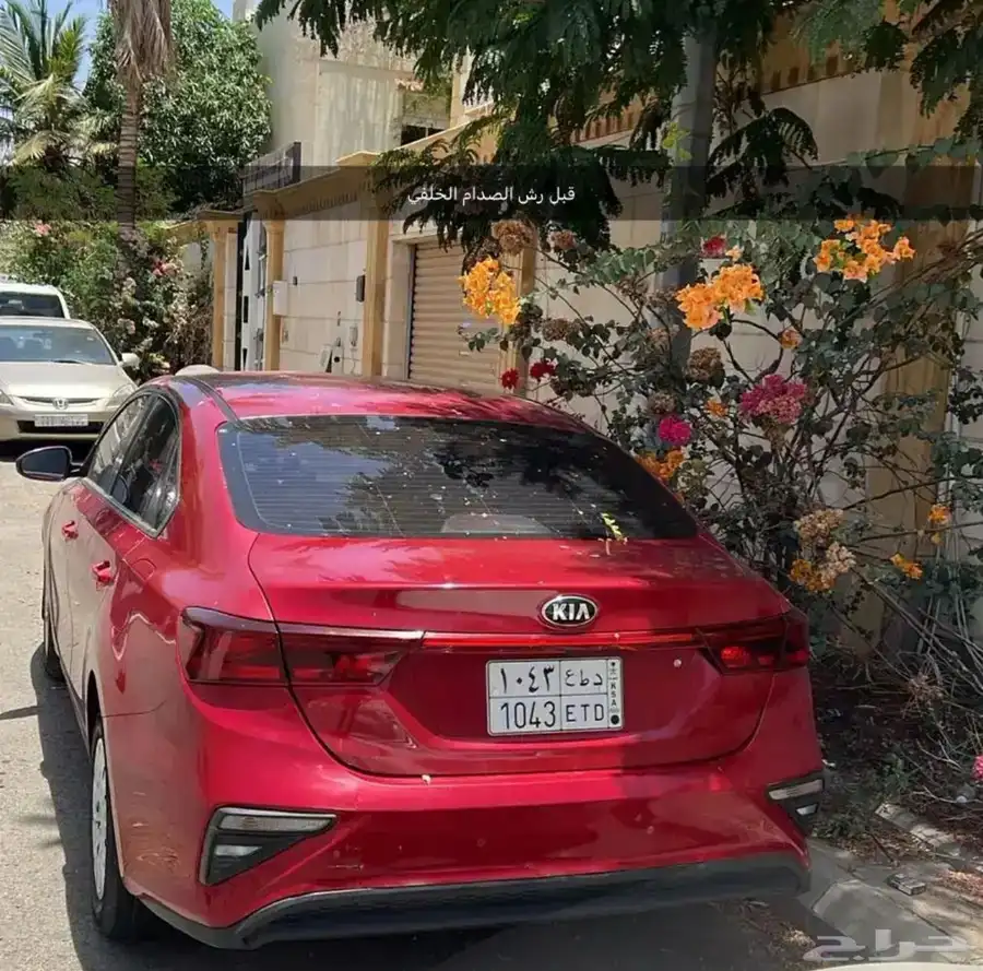 سيراتو 2019 للبيع 12