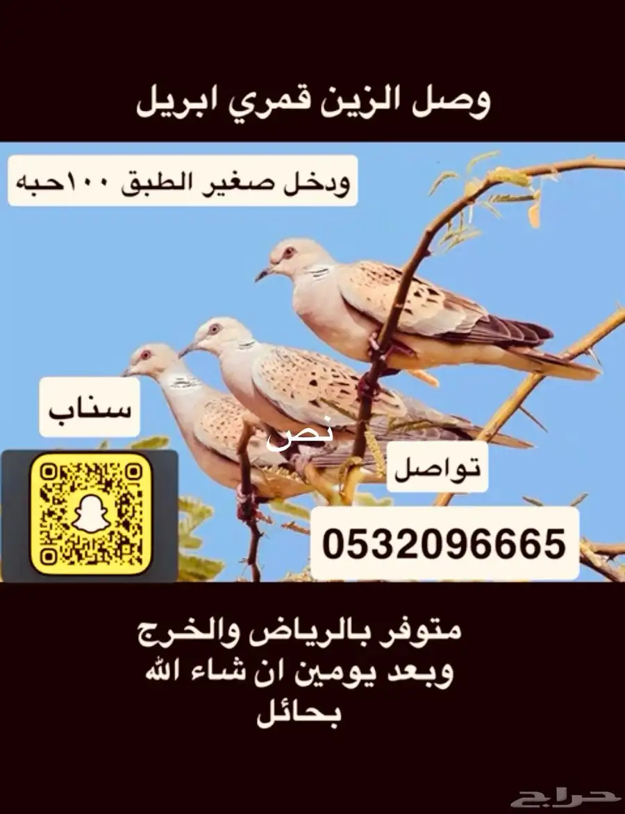 قمري مصر index