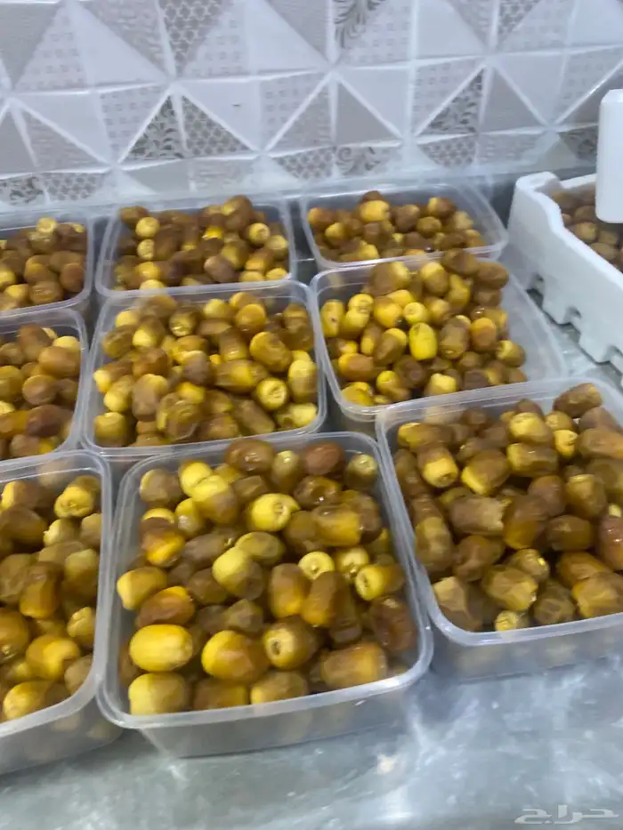 روثانه مناصيف 7