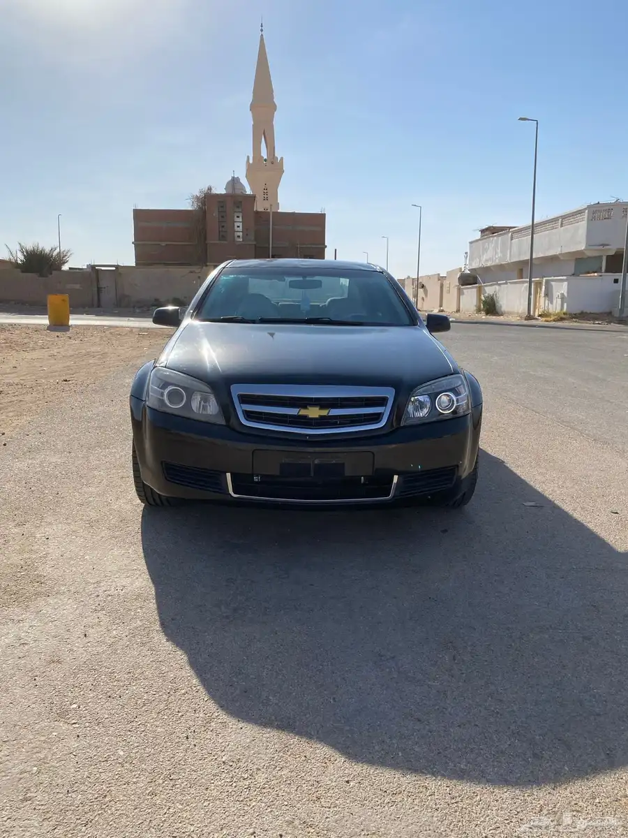 كابرس 2015 8