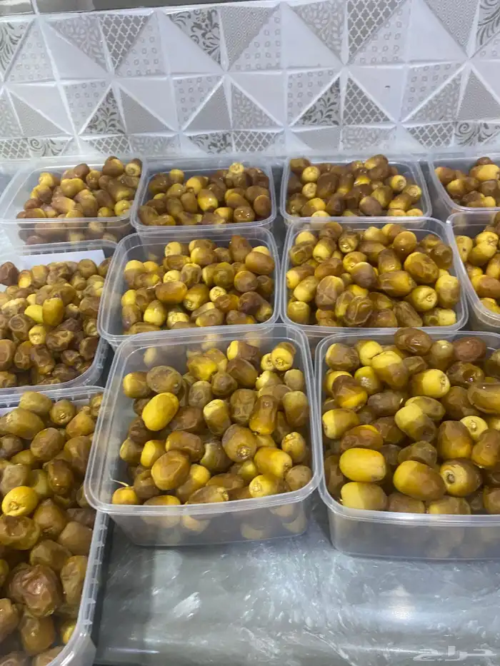 روثانه مناصيف 8