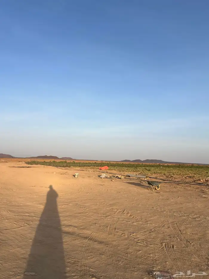 مزرعة كبيره فيها بيت مساحه 200الف صك اكتروني 15