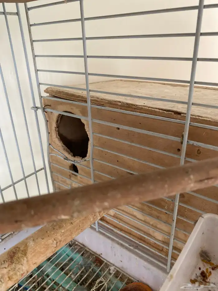 قفص حلوو حجم كبير منفصل عن قاعدته وعجلاته 2