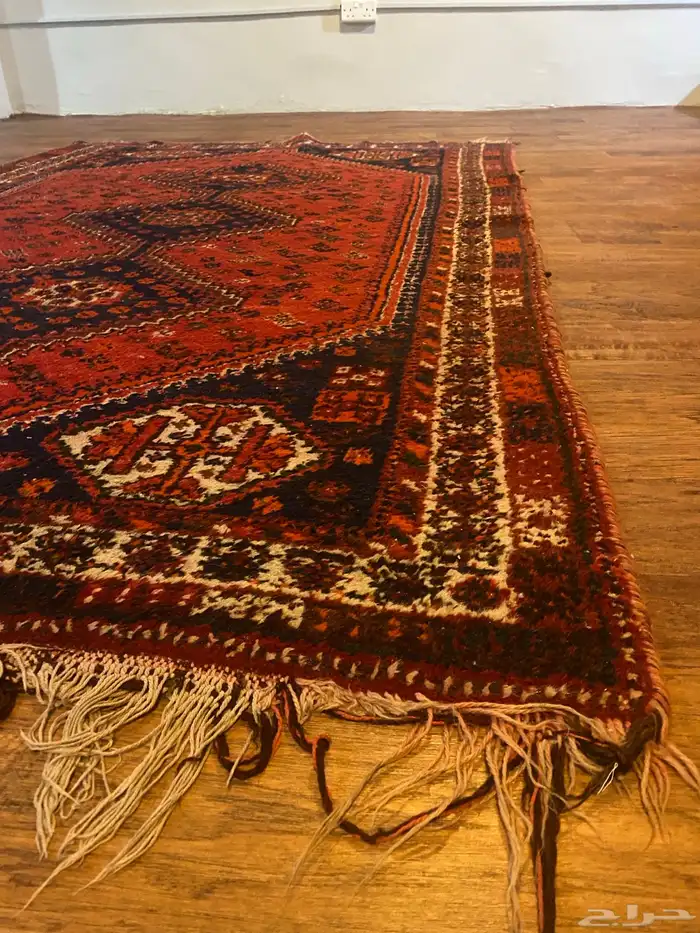 زل ايراني عمر 60 سنة 1