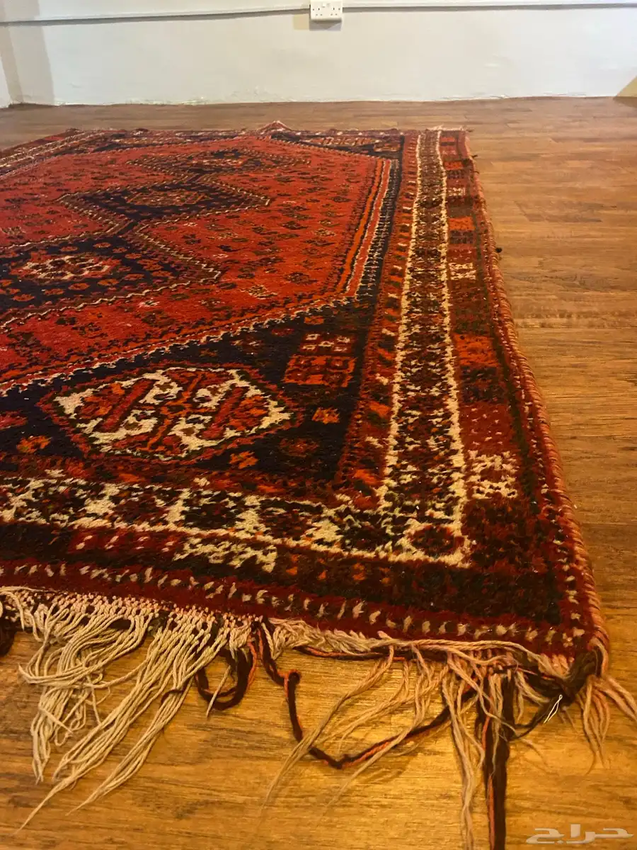 زل ايراني عمر 60 سنة 1