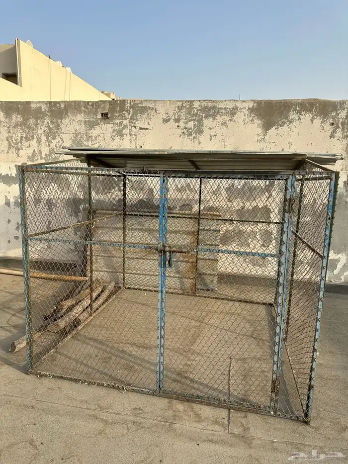 شبك او عشه 0