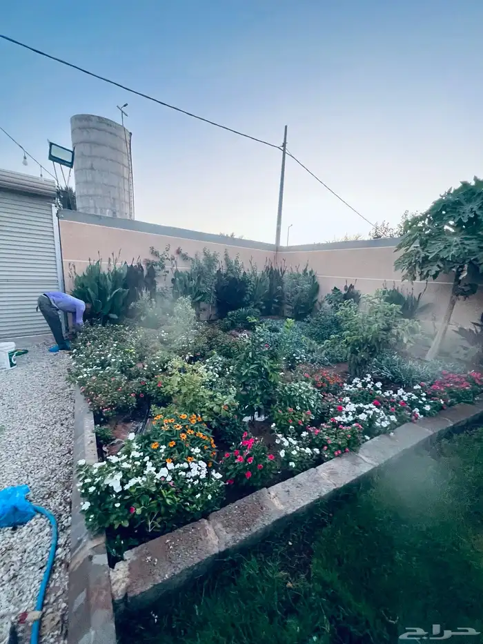 زراعة طبيعي 0