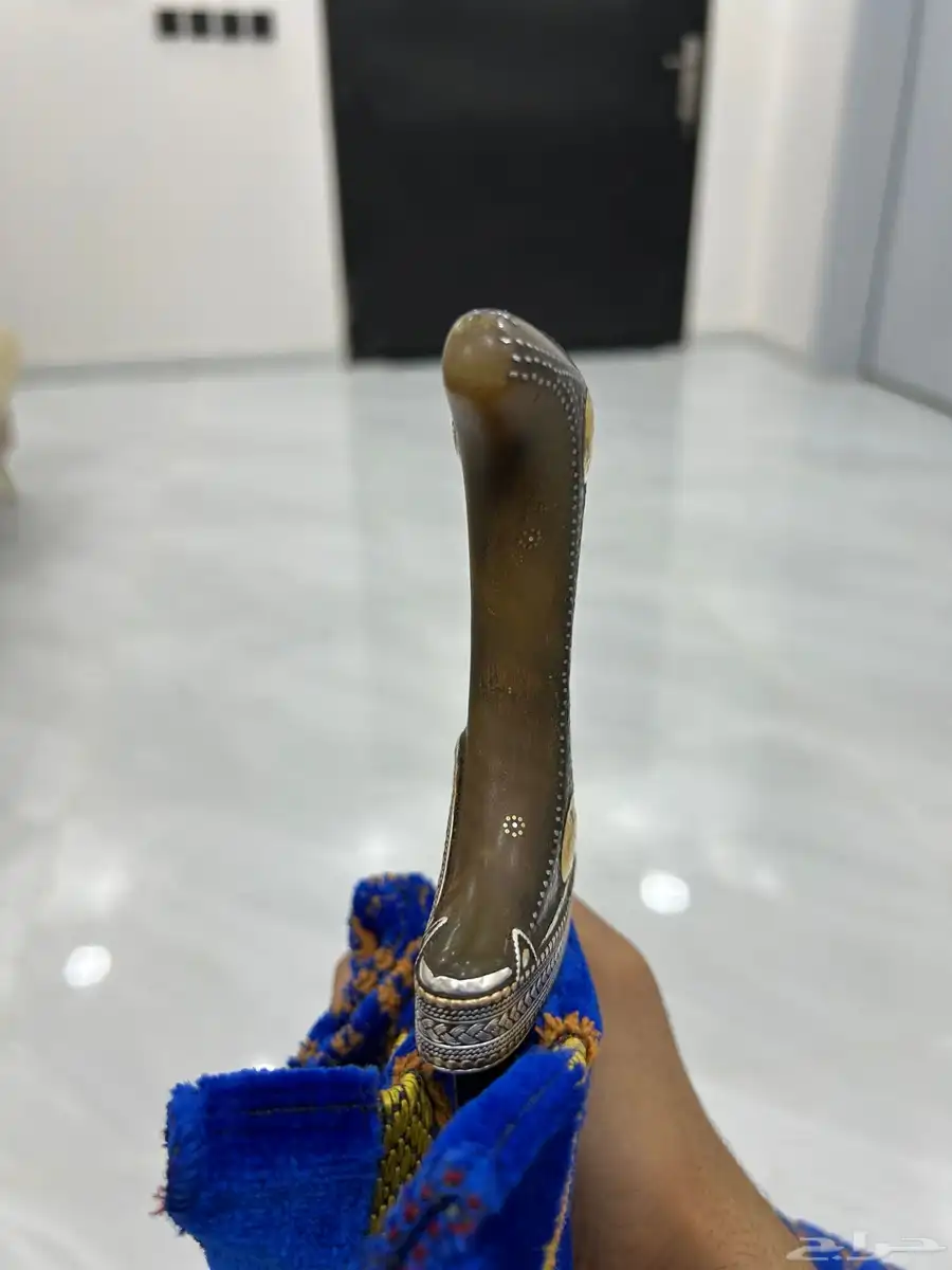 جنبيه زراف صناعني قديم 2