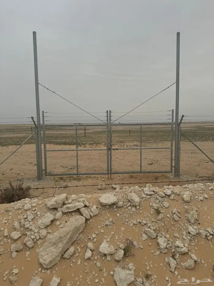 شبوك بجميع انواعها 23