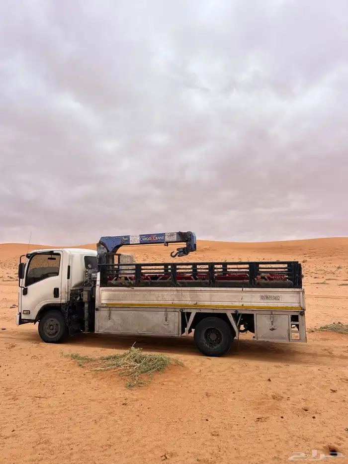 دنا ونش دينا 0