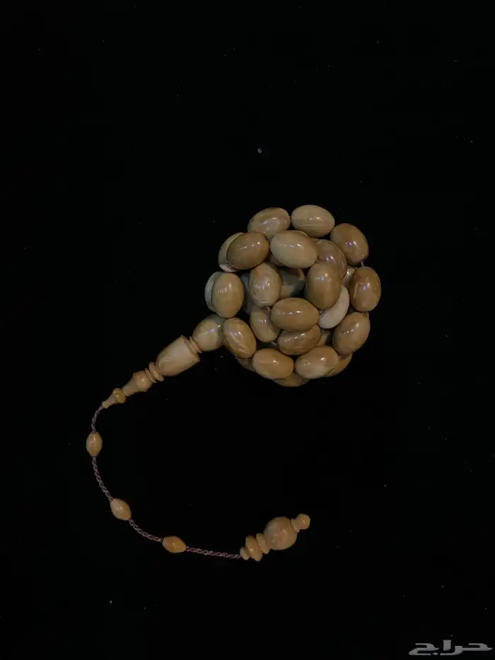 سبحة عظم جمل   كوك 6